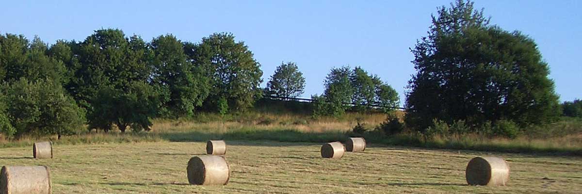 Erhaltung des Jagdwerts in wirtschaftlicher Hinsicht