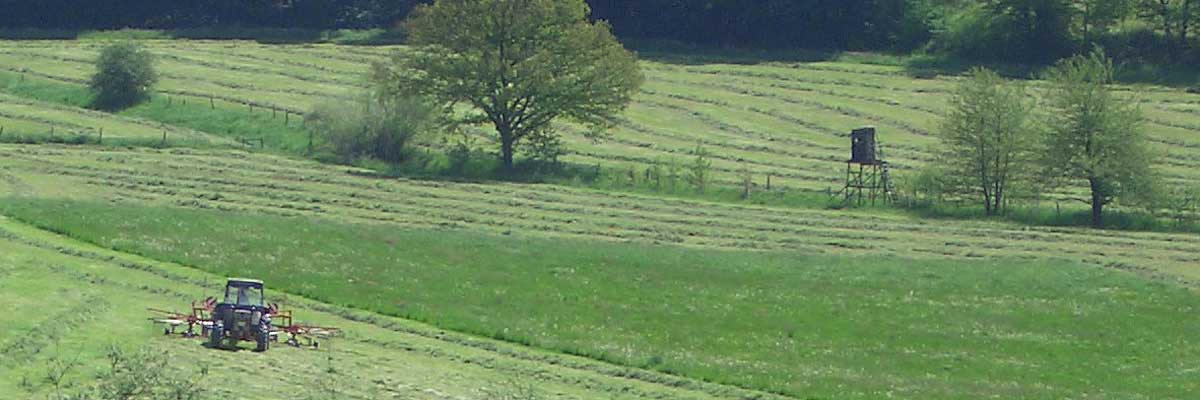 Verstärktes Eintreten für die Belange der Mitglieder bei allen Planungen im ländlichen Raum